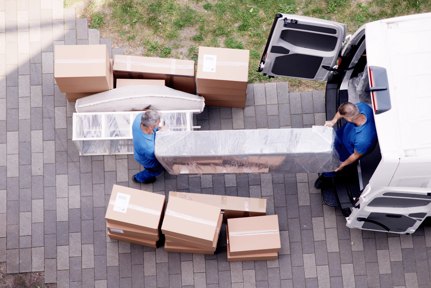 Blue Star Moving: Your Guide to a Seamless Relocation Experience